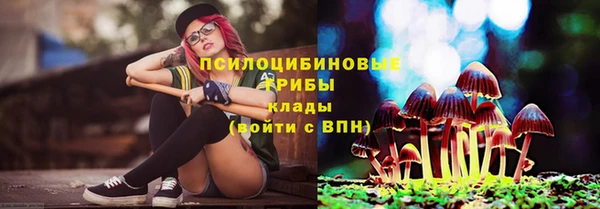 метадон Каменск-Шахтинский