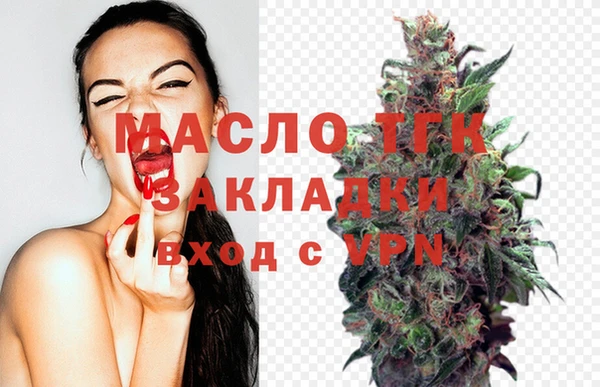 дживик Каменногорск