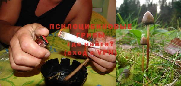 марки lsd Инсар