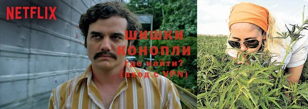 дживик Каменногорск